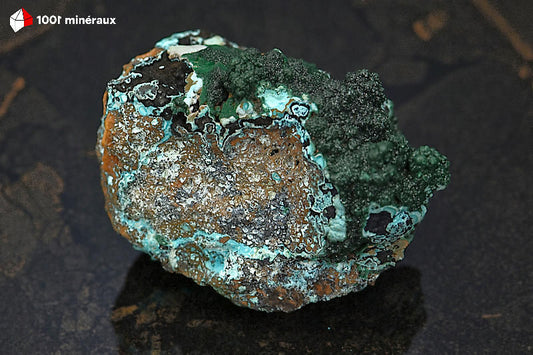 Malachite botryoïdale RDC - Vue de profil, trois strates minéralogiques - 344 g - BJ810
