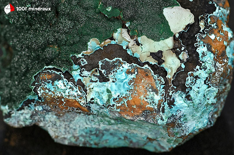 Malachite botryoïdale RDC - Détail base Chrysocolle bleue et roche mère brun foncé - 344 g
