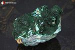 Malachite botryoïdale et Chrysocolle de la République Démocratique du Congo sur roche mère - 222 g / BJ812 - Vignette | 1001 minéraux