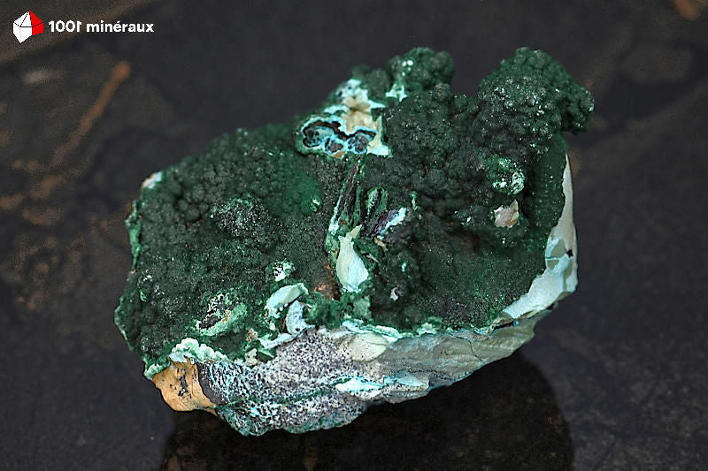 Malachite botryoïdale RDC - Vue d'ensemble, mamelons vert foncé et Chrysocolle bleue - 222 g - BJ812
