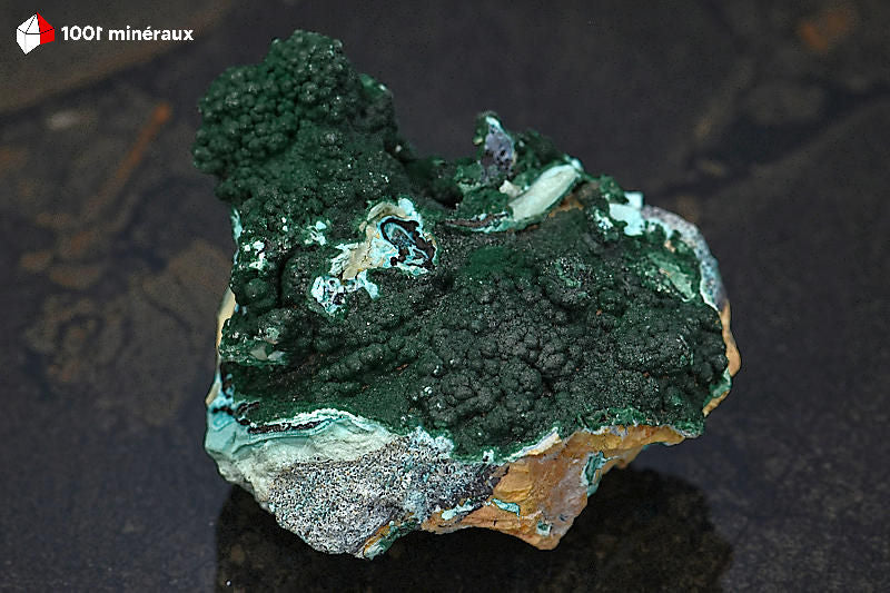 Malachite botryoïdale RDC - Vue de profil, composition minéralogique en strates - 222 g - BJ812
