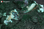 Malachite botryoïdale et Chrysocolle de la République Démocratique du Congo sur roche mère - 222 g / BJ812 - Vignette | 1001 minéraux
