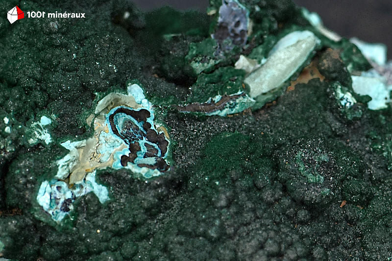 Malachite botryoïdale RDC - Détail Chrysocolle bleue sur Malachite verte - 222 g
