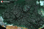 Malachite botryoïdale et Chrysocolle de la République Démocratique du Congo sur roche mère - 222 g / BJ812 - Vignette | 1001 minéraux
