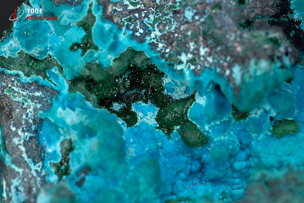 Minéral cristallisé de chrysocolle et malachite de République démocratique du Congo