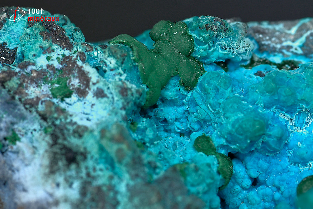 Minéral cristallisé de chrysocolle et malachite de République démocratique du Congo