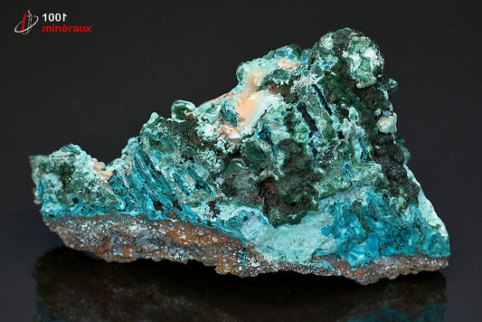 Minéral cristallisé de chrysocolle et malachite de République démocratique du Congo