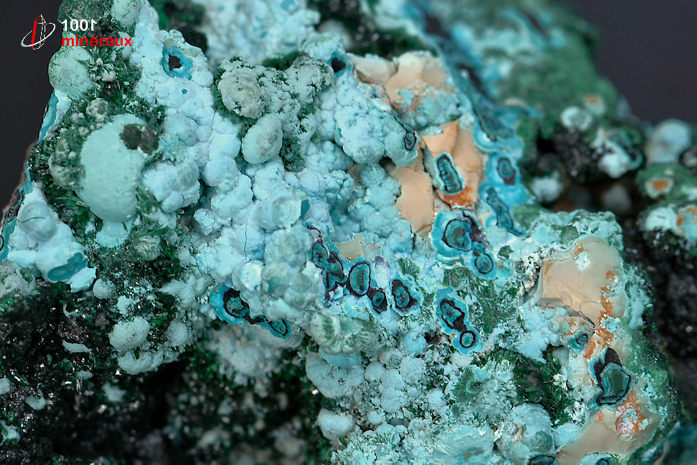 Minéral cristallisé de chrysocolle et malachite de République démocratique du Congo