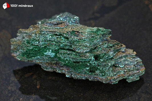 Malachite botryoïdale RDC - Vue d'ensemble, mamelons verts sur roche sédimentaire beige - 166 g - BJ817
