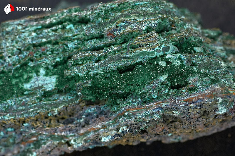 Malachite botryoïdale RDC - Détail des couches sédimentaires beiges encaissantes - 166 g
