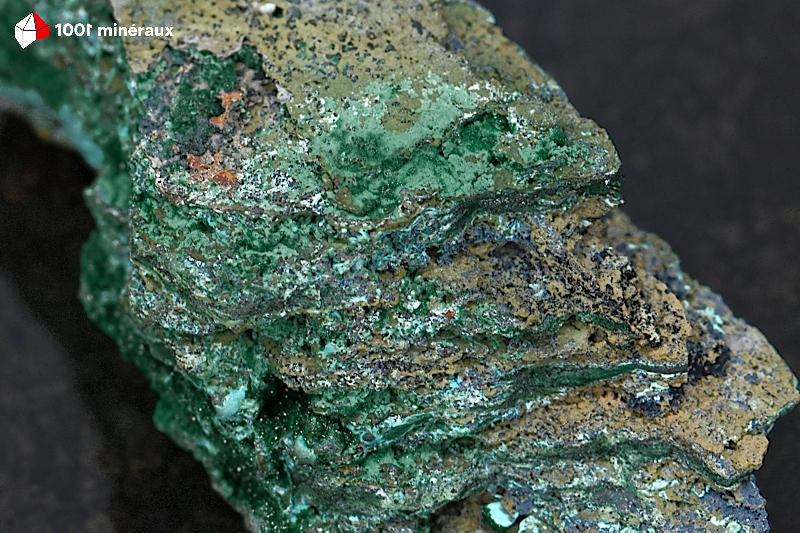 Malachite botryoïdale RDC - Détail contraste Malachite verte et strates beiges - 166 g
