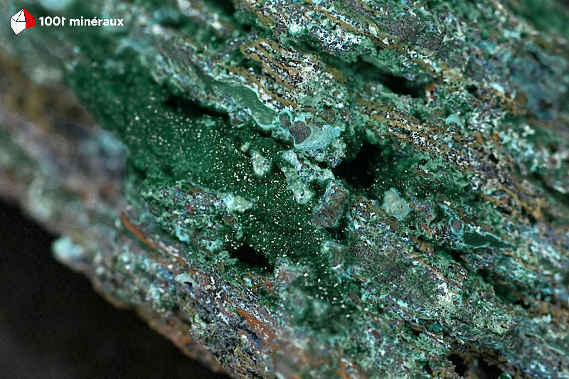 Malachite botryoïdale RDC - Détail des cristaux vert vif en grappes serrées - 166 g
