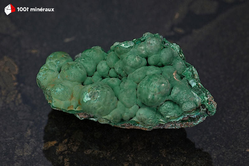 Malachite botryoïdale RDC - Vue d'ensemble, mamelons bien formés vert vif - 119 g - BJ818
