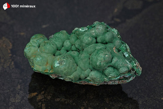 Malachite botryoïdale RDC - Vue d'ensemble, mamelons bien formés vert vif - 119 g - BJ818
