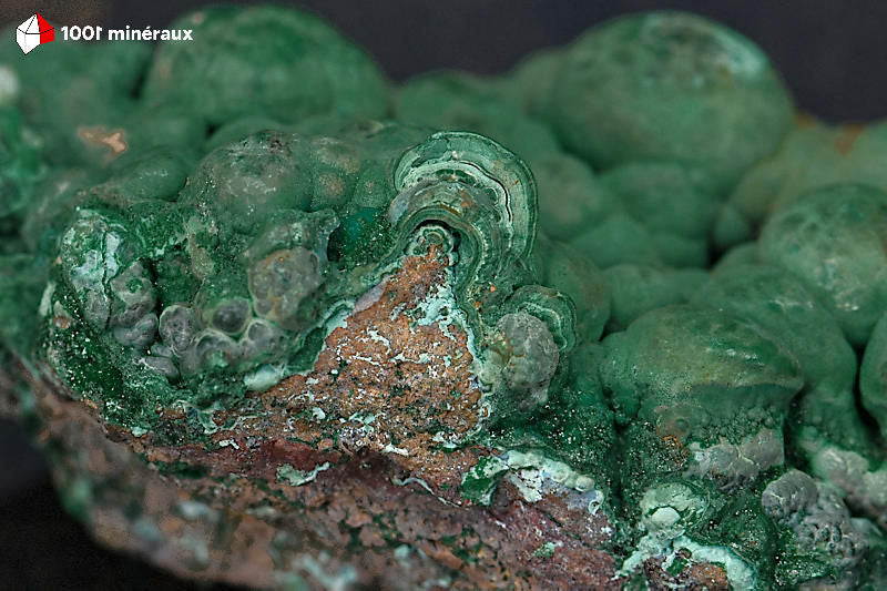 Malachite botryoïdale RDC - Détail relief tridimensionnel des sphères - 119 g
