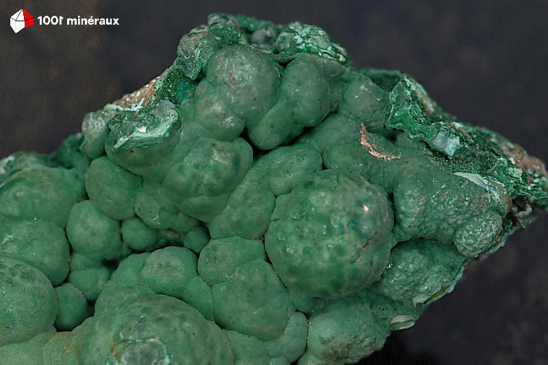 Malachite botryoïdale RDC - Détail des mamelons réguliers en grappes denses - 119 g
