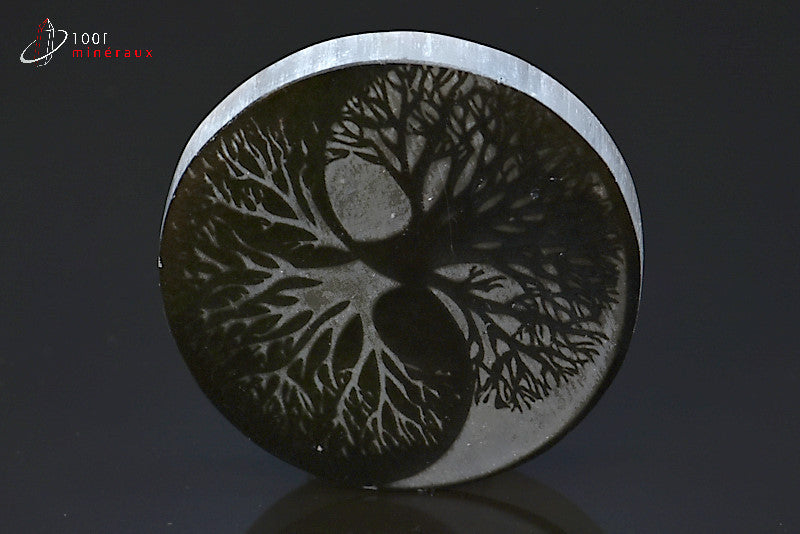 Arbre de vie gravé sur sélénite noire du Maroc