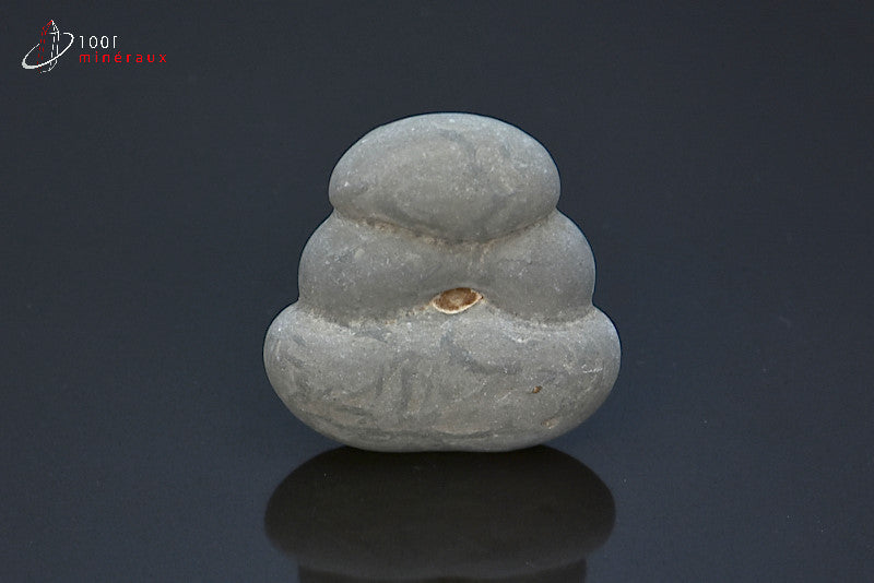 Minéral brut de pierre des fées grise du Canada
