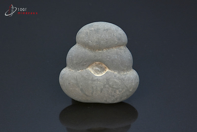Minéral brut de pierre des fées grise du Canada
