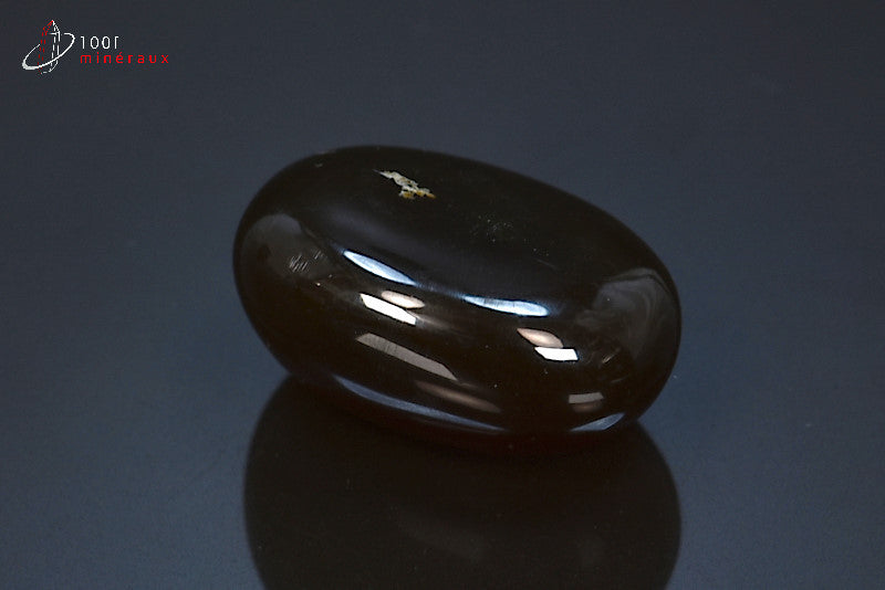 Fossile d'ambre bleu d'Indonésie