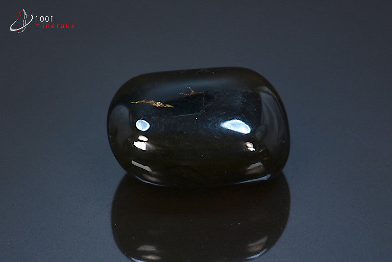 Fossile d'ambre bleu d'Indonésie