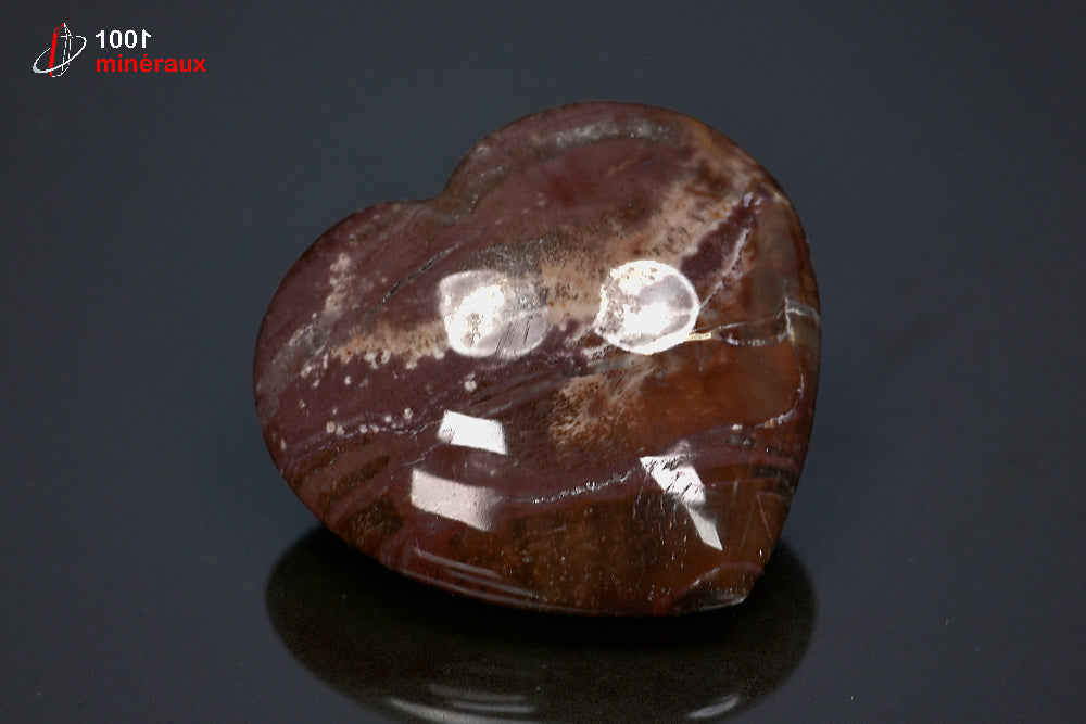 Fossile poli de bois pétrifié rouge de Madagascar en forme de cœur