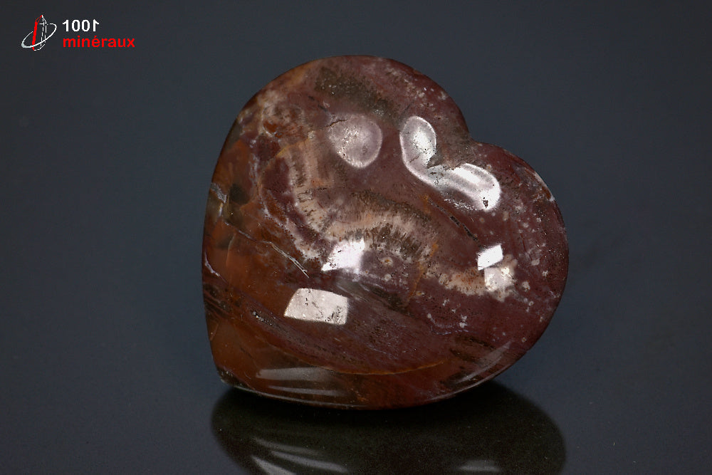 Fossile poli de bois pétrifié rouge de Madagascar en forme de cœur