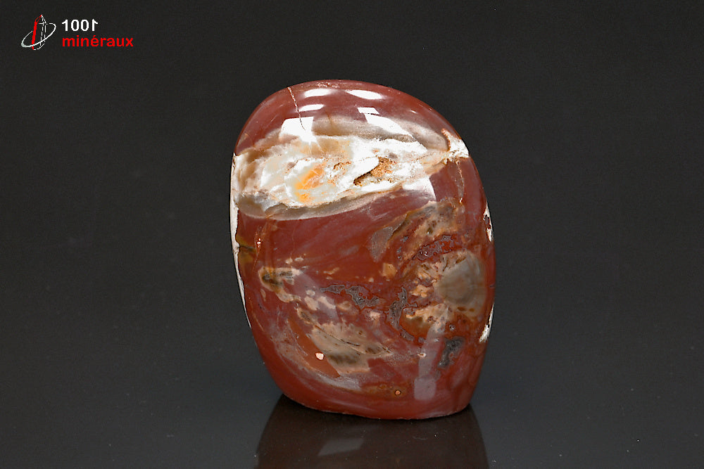 Fossile poli de bois pétrifié rouge de Madagascar en forme libre