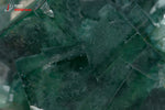 Fluorine verte - Madagascar - minéraux à cristaux 8,6 cm / 408g / BK559 - Vignette | 1001 minéraux