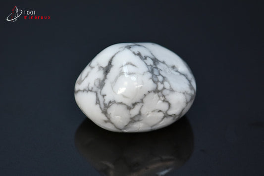 Minéral poli de howlite blanche du Zimbabwe