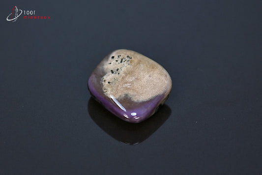 Minéral poli de charoïte violette de Russie