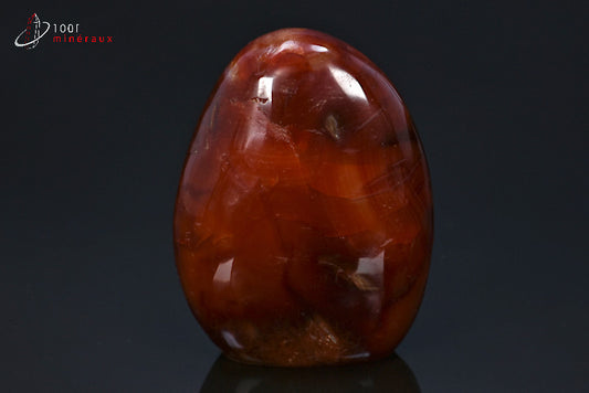 Minéral poli de cornaline rouge de Madagascar en forme libre