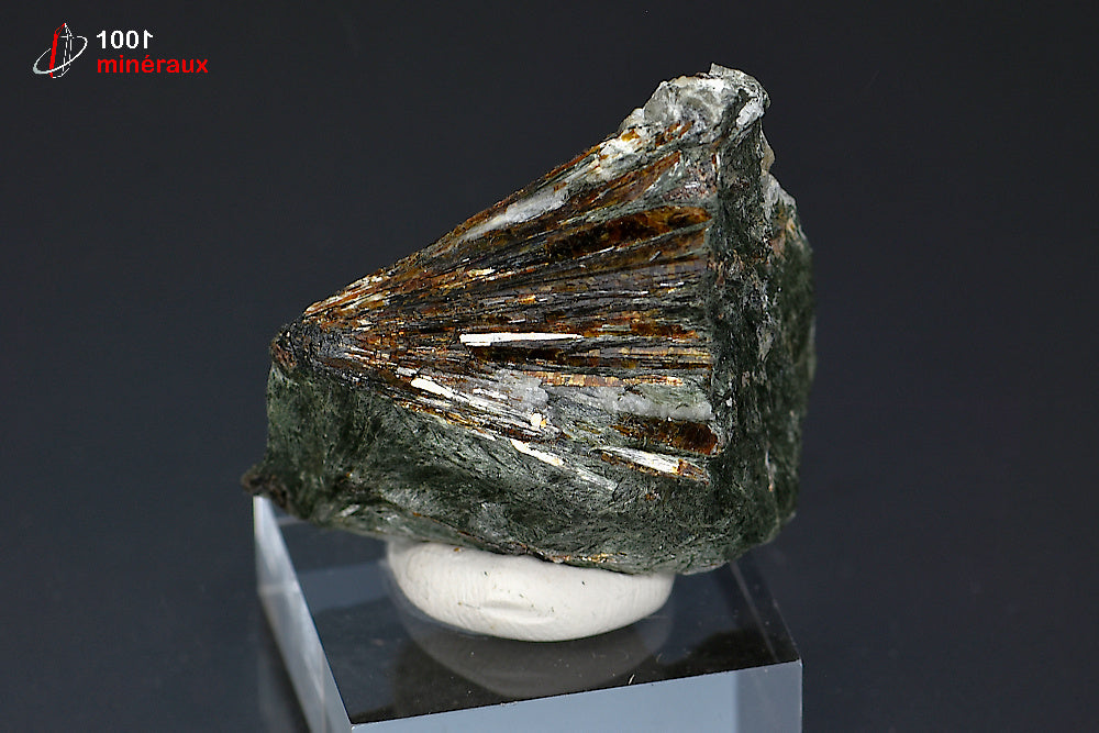 Minéral cristallisé d'astrophyllite de Russie