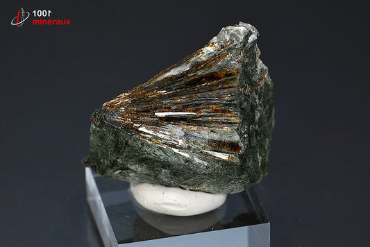 Minéral cristallisé d'astrophyllite de Russie