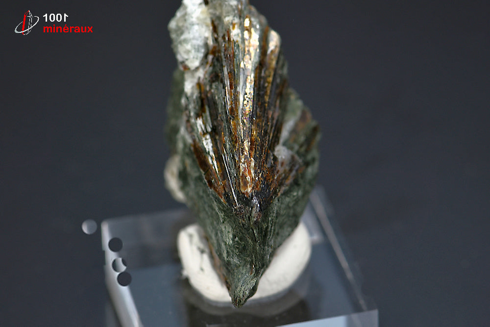 Minéral cristallisé d'astrophyllite de Russie