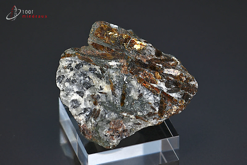 Minéral cristallisé d'astrophyllite de Russie