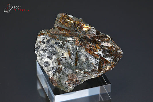 Minéral cristallisé d'astrophyllite de Russie