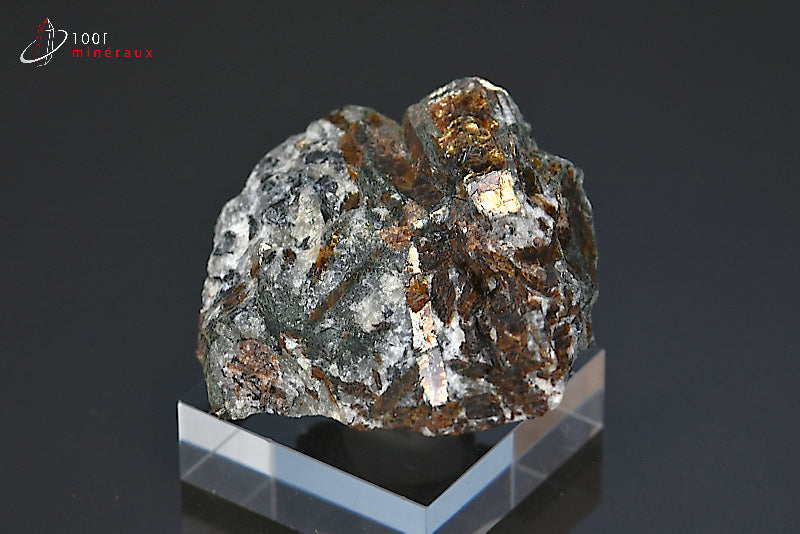 Minéral cristallisé d'astrophyllite de Russie