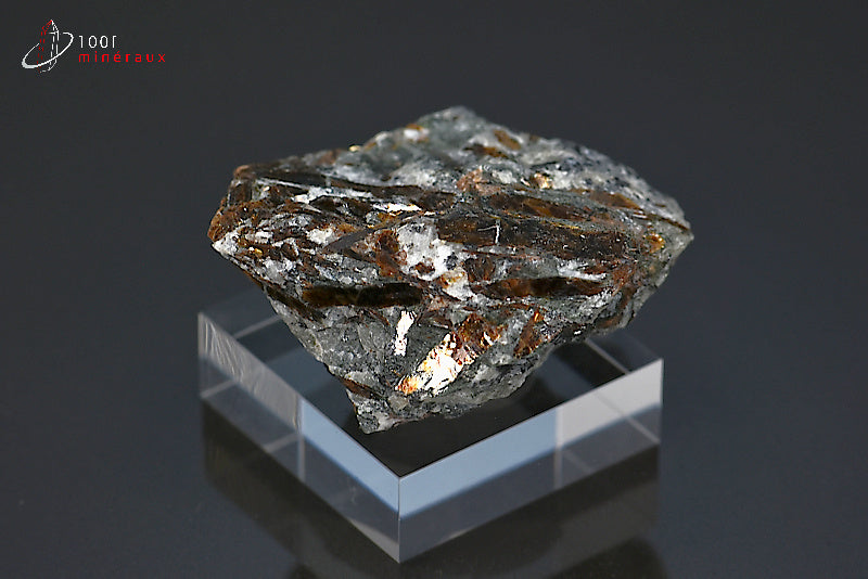 Minéral cristallisé d'astrophyllite de Russie