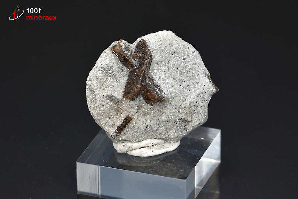 Minéral de staurotide cristallisée sur gangue de Russie