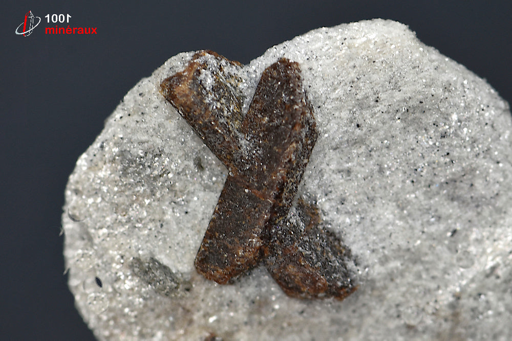 Minéral de staurotide cristallisée sur gangue de Russie