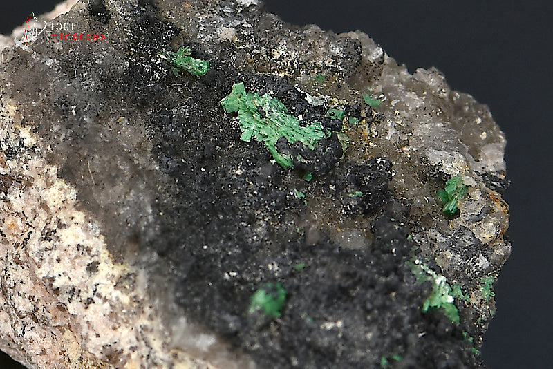 Minéral cristallisé de quartz morion et torbernite