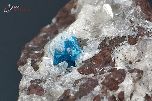 Minéral cristallisé de cavansite bleue d'Inde