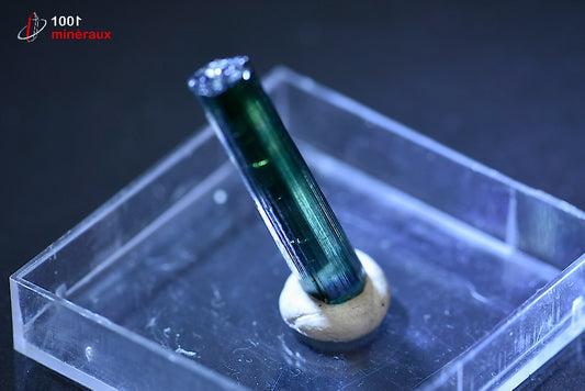 Minéral cristallisé de tourmaline bleue ou indicolite du Brésil