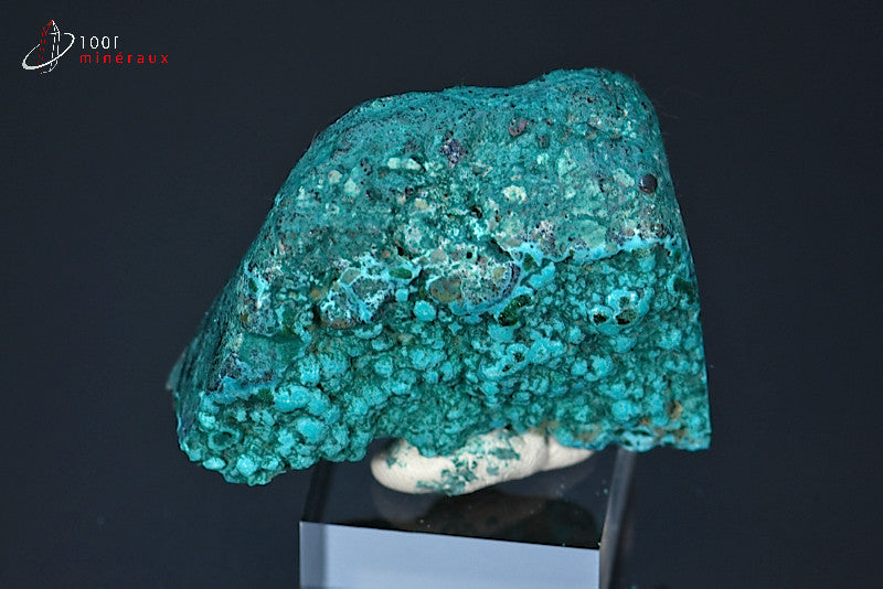 Minéral poli de chrysocolle du République démocratique du Congo
