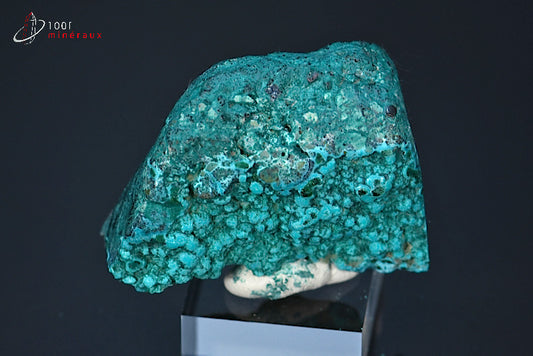 Minéral poli de chrysocolle du République démocratique du Congo