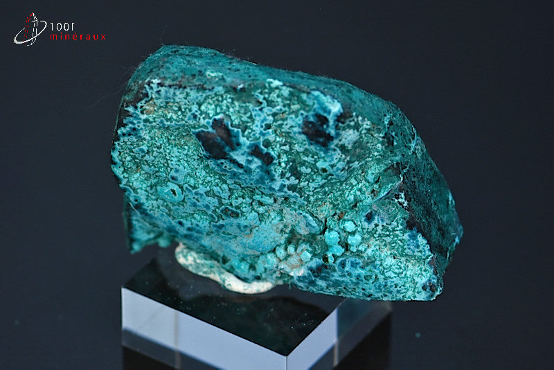 Minéral poli de chrysocolle du République démocratique du Congo