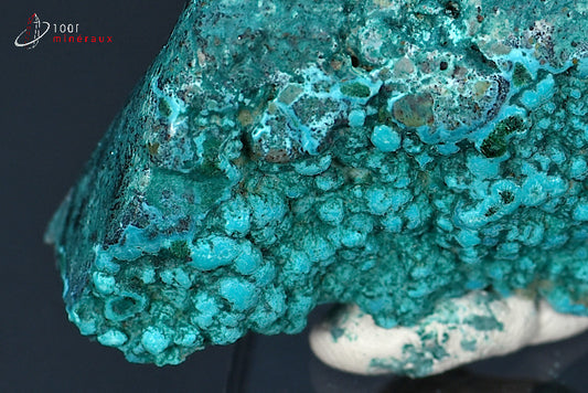 Minéral poli de chrysocolle du République démocratique du Congo