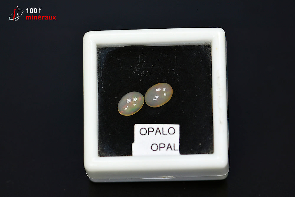 Minéral poli d'opale noble d'Australie