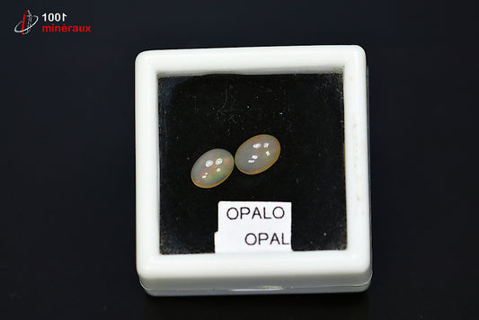 Minéral poli d'opale noble d'Australie